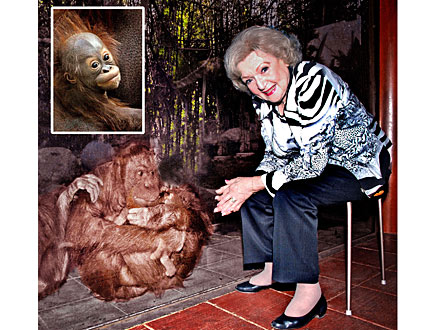 L.A. Zoo Orangutan Named After Betty White Character