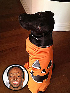 J.R. Martinez Gets His Dog Ready for Baby | J.R. Martinez