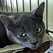 Adopt Us! Mel &amp; Buck Are Learning to Trust Again