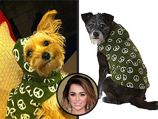Get the Look: Lila Cyrus's Cute Peace | Miley Cyrus