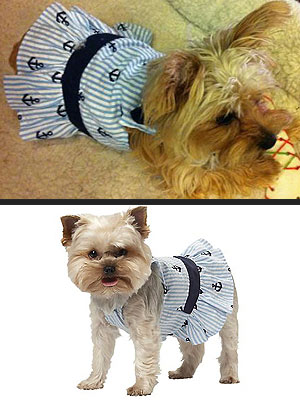 Get the Look: Lila Cyrus's Cute Peace| Stars and Pets, Dogs, Miley Cyrus