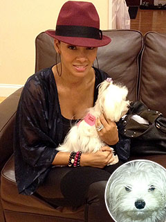 Evelyn Lozada: My Dog Is 'Feisty' Like Me | Evelyn Lozada