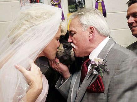 Westminster Dog Show Hosts Wedding Ceremony
