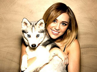 Miley Cyrus's Dogs Turn to Modeling | Miley Cyrus