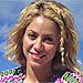 Shakira Attacked by a Sea Lion in South Africa