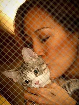 Carrie Ann Inaba Starts Web Show for Shelter Cats| Animal Charities, Cats, Stars and Pets, Dancing With the Stars, Carrie Ann Inaba