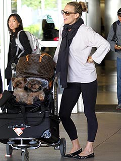 Molly Sims Won't Put Dogs Aside for Baby | Molly Sims