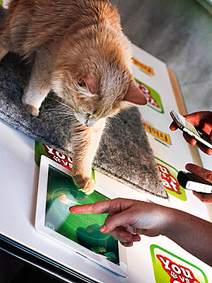 New iPad Game Has Cats Playing with Humans