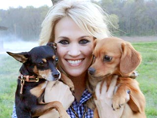 Carrie Underwood's Working Stiffs: Her Dogs | Carrie Underwood