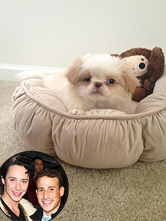 Johnny Weir & Husband Bring Home a 'Son' | Johnny Weir