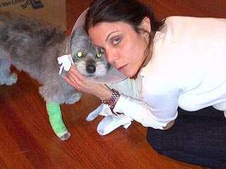 Update: Bethenny Frankel's Dog Sports Cone After Hospital Stay | Bethenny Frankel