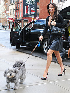Bethenny Frankel's Dog Is in the Hospital | Bethenny Frankel