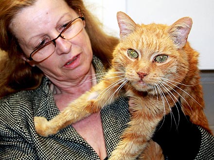 German Woman Reunited with Cat After 16 Years