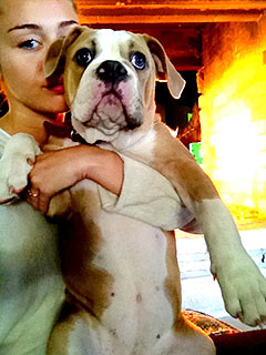 Cuddle Alert! Miley's Sunday is 'Funday,' Thanks to Dog Ziggy | Miley Cyrus
