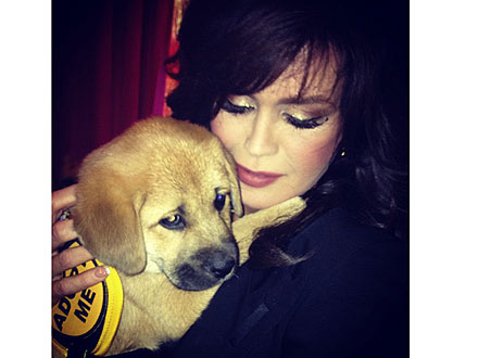 Marie Osmond Gets New Puppy: Photo