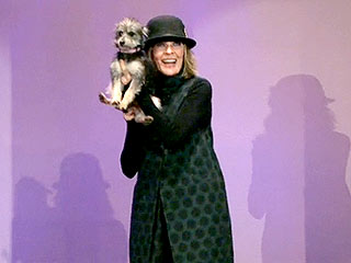 Diane Keaton Asks Tonight Show Audience to Adopt Dog | Diane Keaton