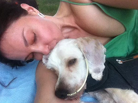 Ashley Judd Speaks Out for Dog Thrown from Moving Car