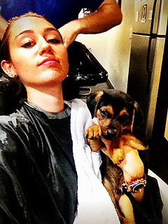 Miley Cyrus Rescues Puppy Left Outside Walmart | Miley Cyrus