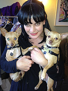 Pauley Perrette Adopts Two Rescue Dogs | Pauley Perrette