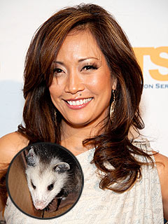 Carrie Ann Inaba Rescues Injured Baby Opossum | Carrie Ann Inaba