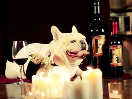 Frenchie Winery Caters to Dogs