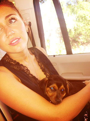 Miley Cyrus and Happy Take the Town| Stars and Pets, Dogs, Miley Cyrus