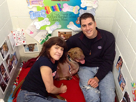 Pit Bull Saves Owner from Oncoming Train| Dogs, Hero Pets