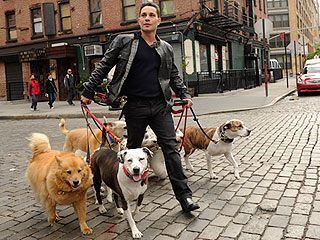 Trainer Justin Silver's Toughest Clients? Humans, Not Dogs