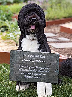 Who Loves American Grown? Bo Obama!