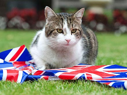 Animals Celebrate Queen's Diamond Jubilee| Dogs, Queen Elizabeth II