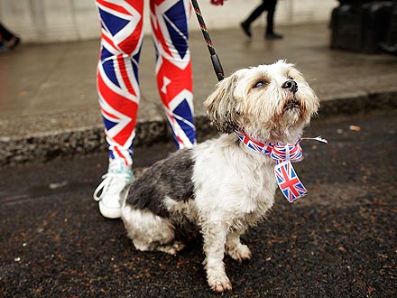 Animals Celebrate Queen's Diamond Jubilee| Dogs, Queen Elizabeth II