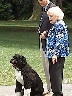 Does It Get Any Cuter? Betty White Meets Bo!