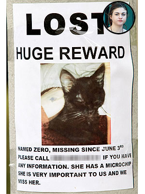 Frances Cobain: Help Me Find My Cat