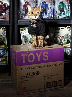 Millie the Security Guard Cat Patrols Toy Factory