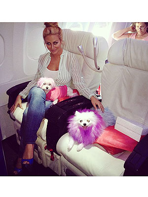Aubrey O'Day – and Her Dogs! – Fly First Class