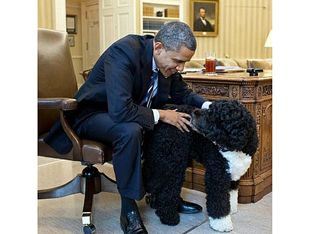 President Barack Obama and Bo: Twitter Photo