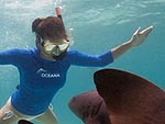 Kate Walsh Swims with Sharks in Belize