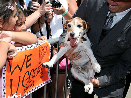 Uggie's Paw Prints Immortalized at Grauman's Chinese Theatre| Stars and Pets, Dogs, Uggie, The Artist