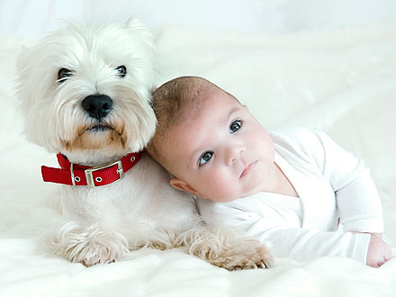 Pictures Baby Dogs on Babies Who Live With Dogs Healthier  Study Finds   People Com