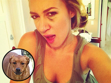 Haylie Duff Gets a Black Eye – from Her Dog | Haylie Duff