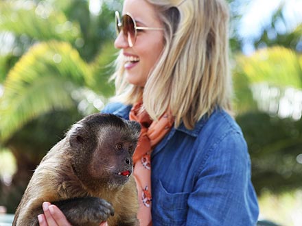 Dianna Agron's Summer Job: Helping Hungry Animals | Stars and Pets, Zoo Animals, Dianna Agron