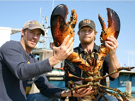 21-Lb. Lobster Settles Into New Home| Unusual Pets