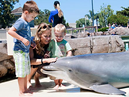 Sheryl Crow Meets a Dolphin with Her Boys| Stars and Pets, Zoo Animals, Sheryl Crow
