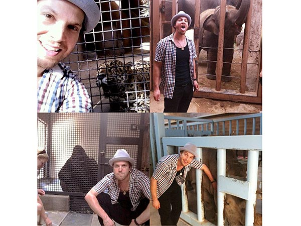 Gavin DeGraw Loofahs a Rhino| Stars and Pets, Zoo Animals, Gavin DeGraw