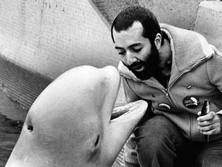 Whale That Inspired 'Baby Beluga' Song Dies