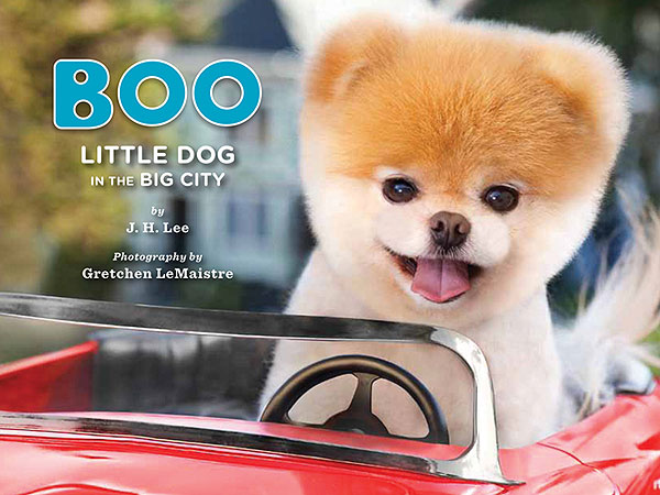 cutest puppies book giveaway win prize packs from boo the world s cutest cutest puppies book giveaway win prize packs from boo the world s cutest