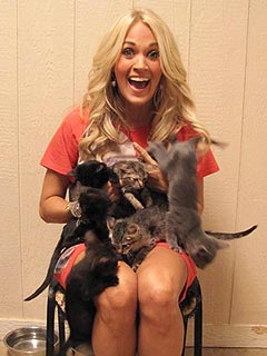 PHOTOS: Carrie Underwood Spends a Day Off Cuddling Kittens | Carrie Underwood