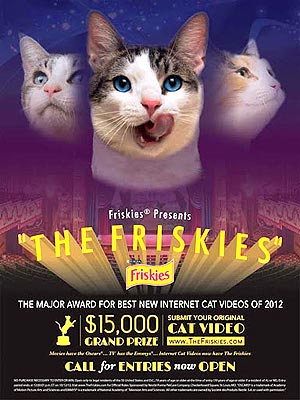 The Water Bowl: Win $15,000 for Your Cat Video