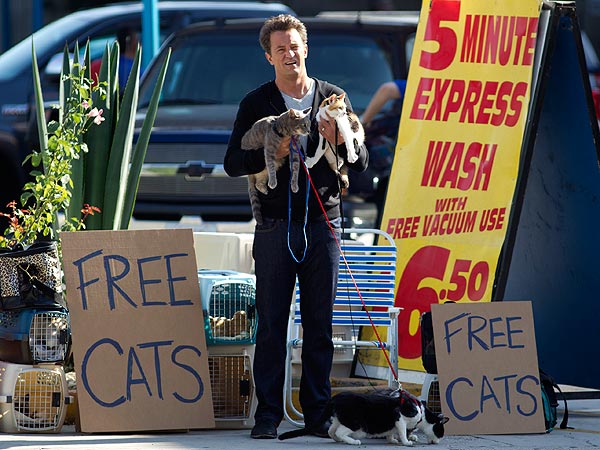 Matthew Perry Gets Feline Fever on Set| Cats, Go On, Matthew Perry
