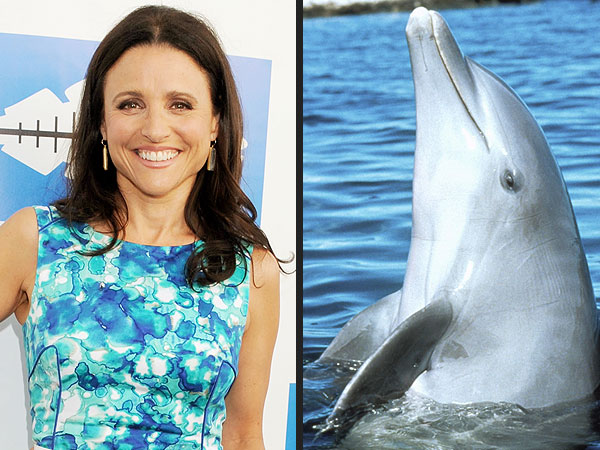 Julia Louis-Dreyfus Wants Flipper Back on TV